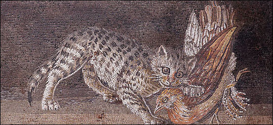 20120227-Mosaic Pompeii Cat_birds Napoli.jpg